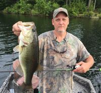 Mark Jackson profile picture