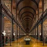 Lauren profile picture