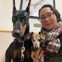 Sarah Marina Uber profile picture