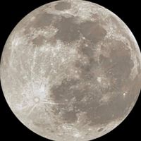 Madeline profile picture