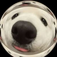 AM Aesth profile picture