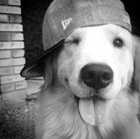 Rylee profile picture