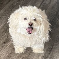 Joselyn profile picture