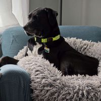 P Hew profile picture