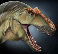 Jonathan Metzger profile picture