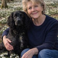 Jill Rees profile picture