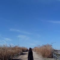 DreamySky profile picture