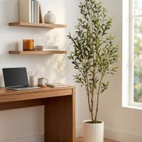 Daily Cozy Finds profile picture