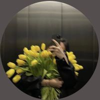 Daisy profile picture