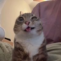 Luly Xo profile picture