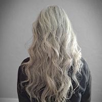 The Indian Silver Mama profile picture