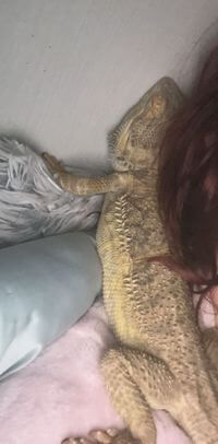 Alice Dixon profile picture