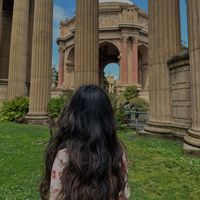 shawmi profile picture