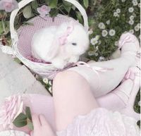 Bunni Blush profile picture