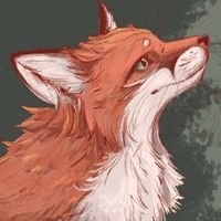 Kylee Czarkowski profile picture