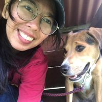 Ivy Kira profile picture