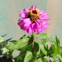 Princess David profile picture