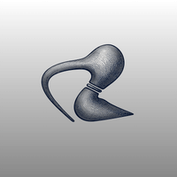 Curlew profile picture