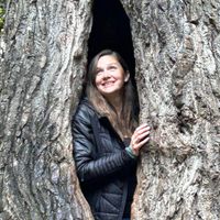 Julie Harper profile picture
