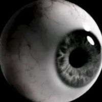 Lex H profile picture