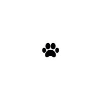 4PAWS profile picture