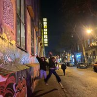 nino laliashvili profile picture