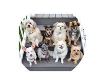 Wagner Pack profile picture