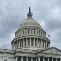 kitts 🎀⭐️🌷 profile picture