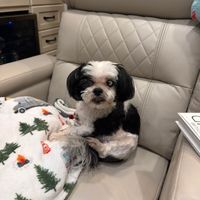 Amy Beck profile picture