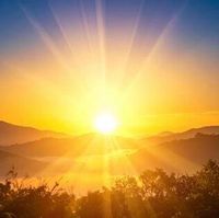 Nicole D profile picture