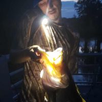 Wayne Shipp profile picture