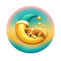 PetBedzz profile picture