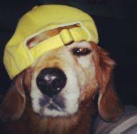 Jesisha Jessh profile picture