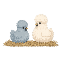 Bluey & Ivory Henhouse profile picture