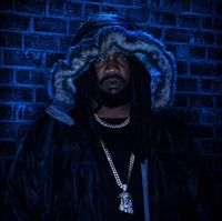 13LUE (The Highest Wolf) profile picture