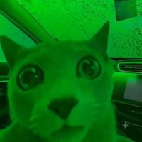 Indie Finds profile picture