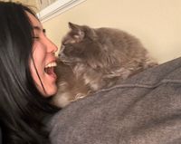 Dalilah profile picture