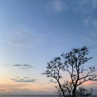 nurul fitriyaningrum profile picture