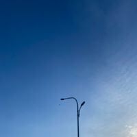 Tri profile picture