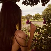 Ivy Collins profile picture