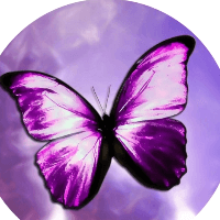 butterfly profile picture