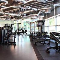 GymBuilds profile picture