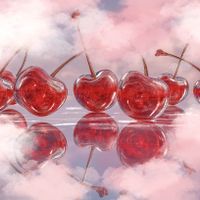 Cerise Cloud profile picture