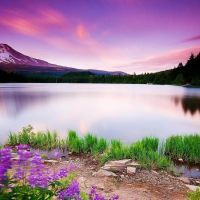 Neelum profile picture
