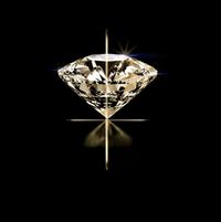 The Luxury Edit profile picture