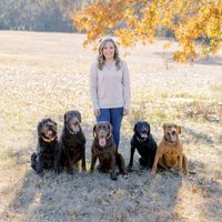 Amber Phillips profile picture