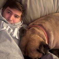 Noah Schaffer profile picture