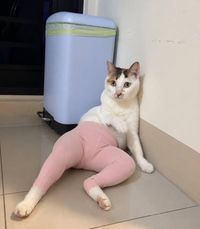 Miana Kayasa profile picture