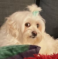 Faith profile picture