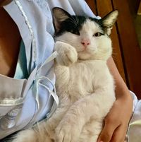 Nindy’s Picks profile picture